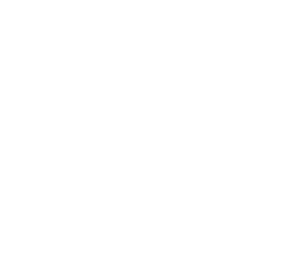 Autonomous Security Force badge