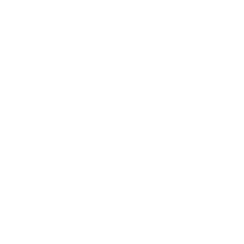 Autonomous Security Force